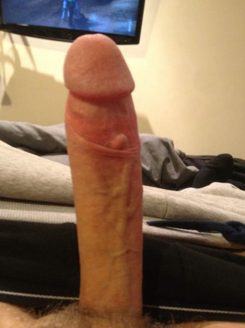 jackdhallow:  JACKDHALLOW//FOLLOW//ASK//SUBMIT