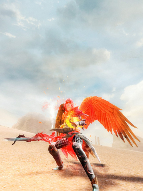Valkyridaine, Warrior