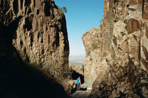 The WindowBig Bend National Park, TXBessa R2A, 35 ‘cron, Kodak Gold 200