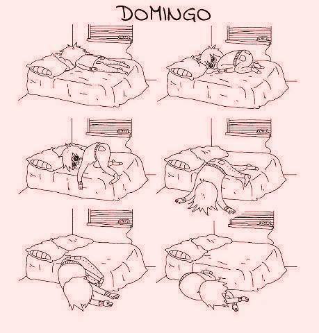 yo-soy-la-chica-anonima:  krmen-blog:  DOMINGO  Mi sabado, mi domingo y los días