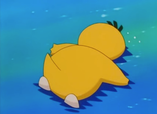 I think that if I were a pokémon I'd be a psyduck 