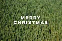 positivelifetips:  Merry Christmas to you and yours! 🎄🎁🎅🏼
