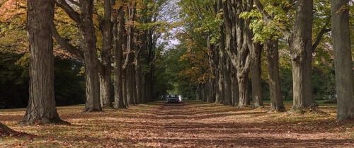 harlieyquinn:It Follows (2014)  porn pictures