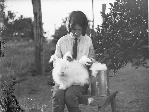 meschkinnes: Girl with a white angora rabbit, 1930s / by Sam Hood 