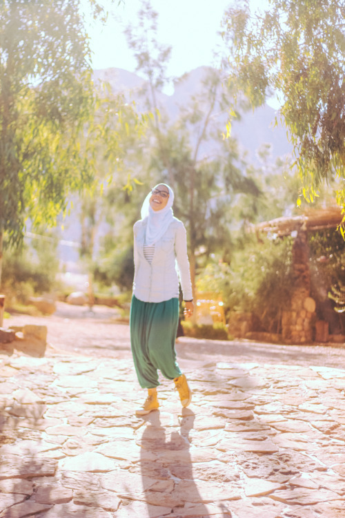 Green Salmast.catherine, Sinai8/2014