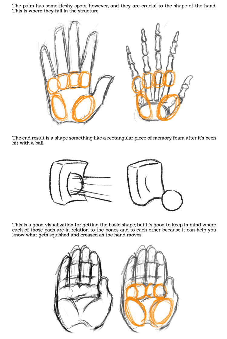 popgoesthewiener:  sarahculture:  Tips on Drawing Hands Tutorial Hope this is helpful!