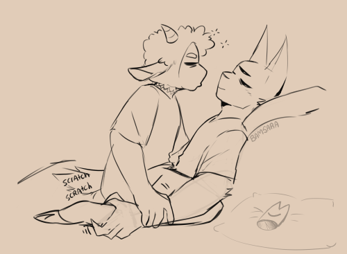 Scratch Scratch