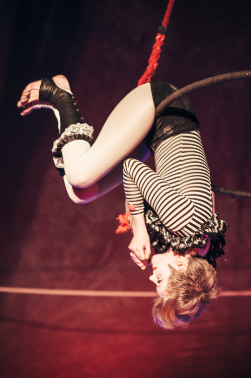 fuckyeahcircus: photographise: Big Sexy Circus City - ShowcaseEdinburgh Fringe 2015 I’m rea