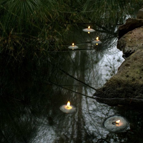 elvenforestworld:  Floating Pebble Candles