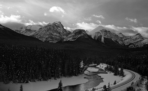 Morant’s Curve, 6x9cm HP5+ 400