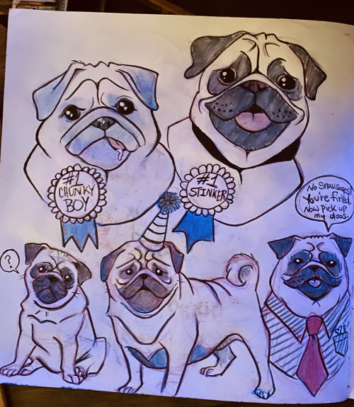 A cluster of pugs straight from my sketch book. I love drawing these lil’fellers. 