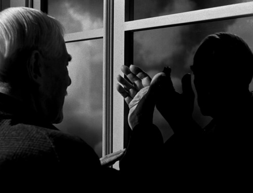 la-cineaste:Wild Strawberries (1957)Ingmar adult photos