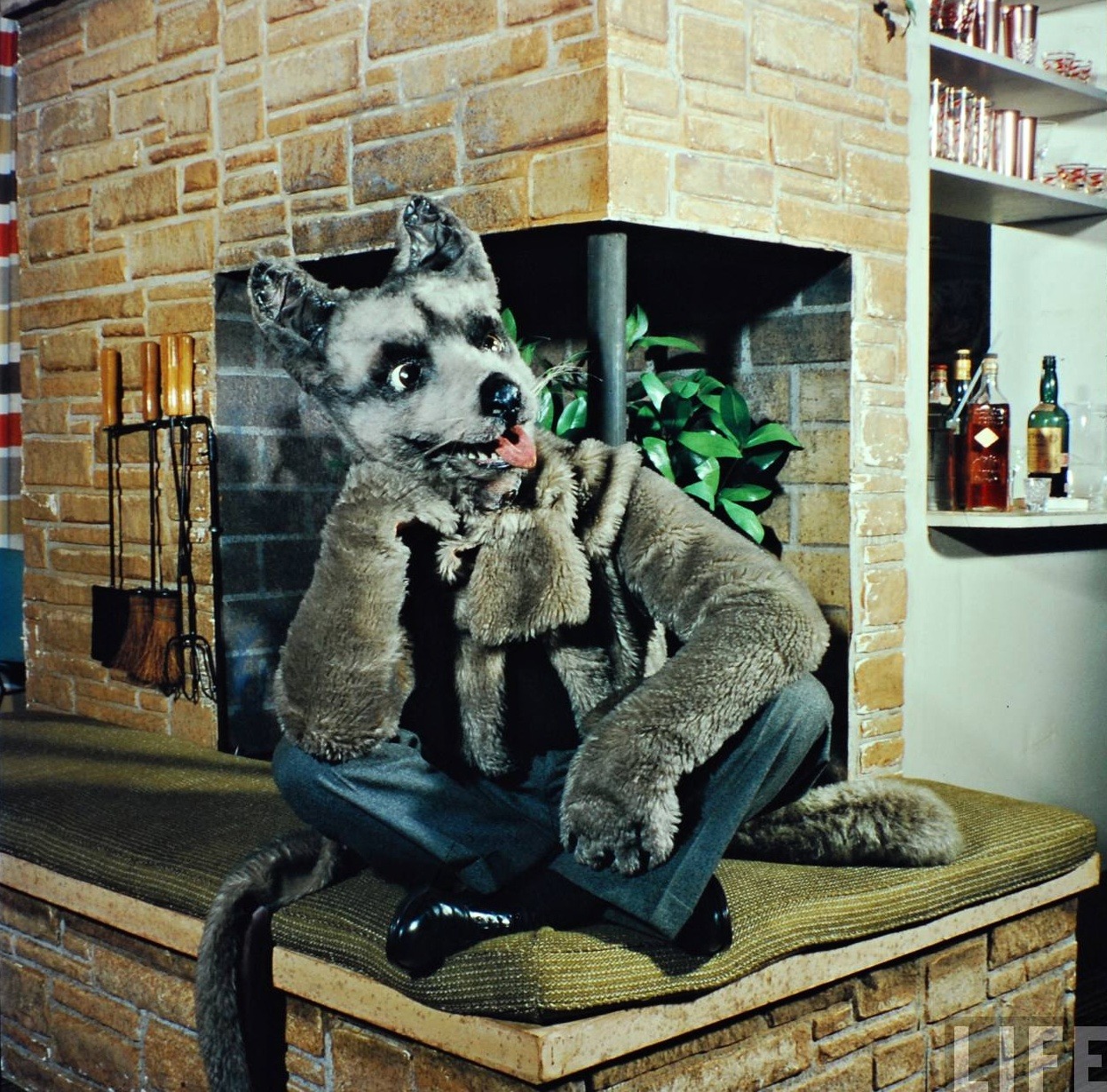 Ralph Morse - Play-Man In Dog Suit.