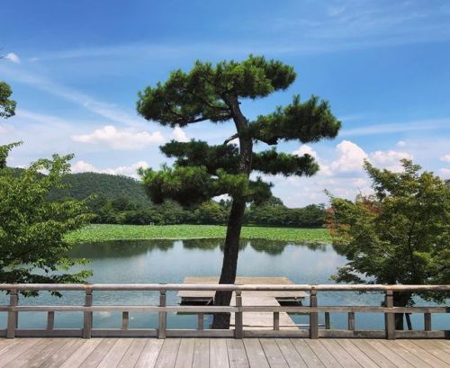 ＼おにわさん更新情報／ [ 京都市右京区 ] 大覚寺大沢池附名古曽滝跡 Daikaku-ji Temple&rsquo;s Osawa-no-ike Pond, Kyoto の写真・記事を更新しました