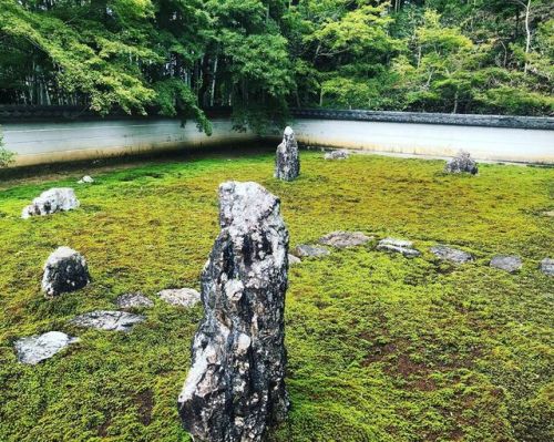 ＼おにわさん更新情報／ ‪[ 岐阜県岐阜市 ] 真長寺の石庭 Shincho-ji Temple Garden, Gifu の写真・記事を更新しました。 ーー奈良時代に #行基 が開き、国重文の仏像も