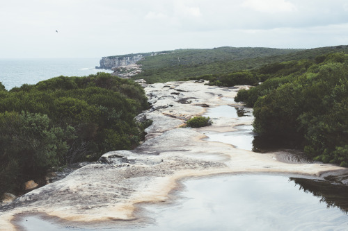 Royal National Park - Australia