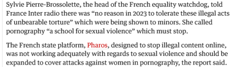 France Did A Review On The Pornography Industry And Revealed That 90% Out Of Millions Of Videos Watched