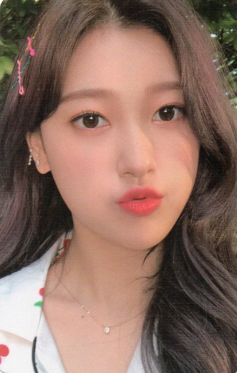 12loona:[SCANS] 2020 LOONA 1st Season’s Greetings - Photocard Sets (cr: zoozeopking)