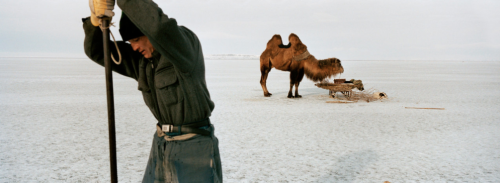 Laurent Weyl / Argos - Kokaral: Life restakes its claim (Kazakhstan)*I know the photo-series is supp