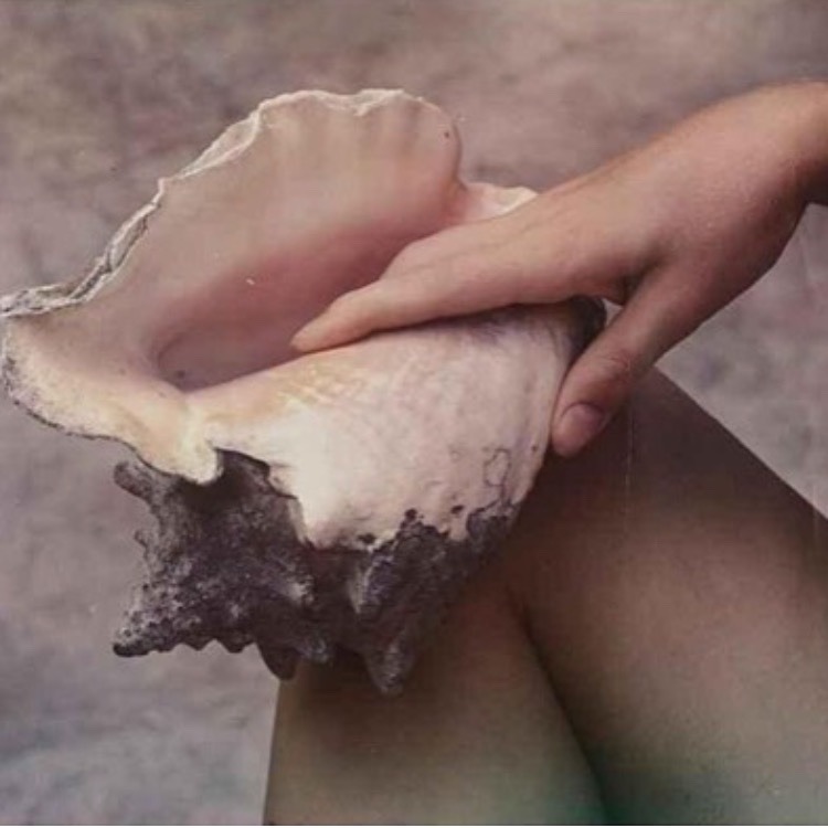 ellengracevisuals:  Vibes from “Hand, shell and leg” by Paul Outerbridge (1938)