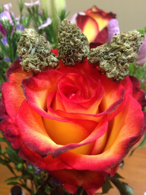 Weed&Nature