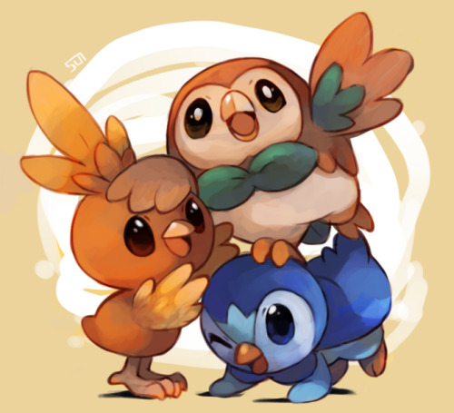 noemipls:  drew the starter birds   tweet tweet!