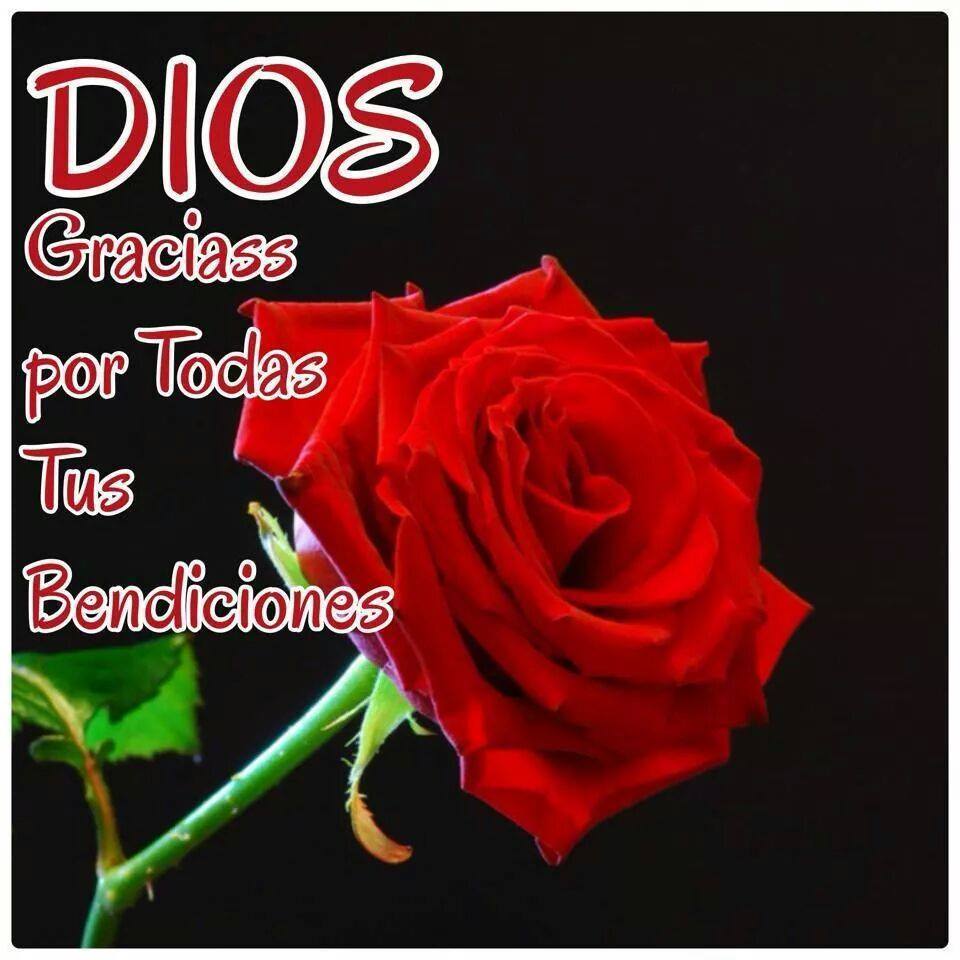 Imagenes Cristianas Y De Bendiciones Dios Gracias Por Todas Tus Bendiciones