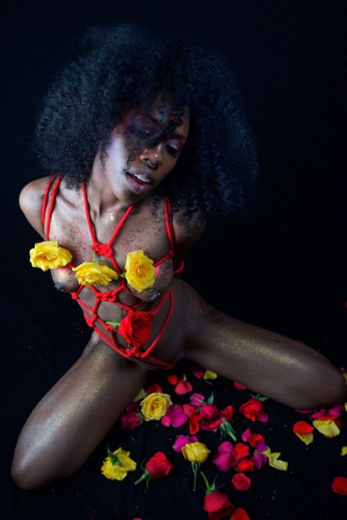 prettyperversion: “A climax of roses ” @prettyperversion rigger/photographer Don’