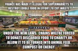 lollipopcrumbs:  What a fantastic law! The amount of waste around the world obscene, especially while millions are going hungry.   GOOD. COME ON, UNITED STATES.