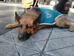 lo-gritan-tus-acciones:  “¿a qué hora se aburren estos hueones?”