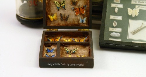 Entomology CollectionAway with the Fairies by Laura Brownhillhttps://www.etsy.com/uk/shop/CountryTre