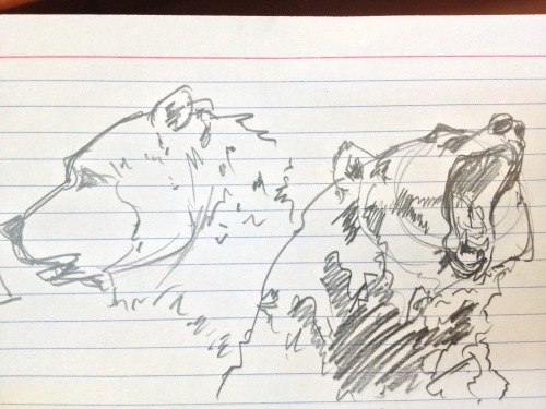 Grizzly Burrz