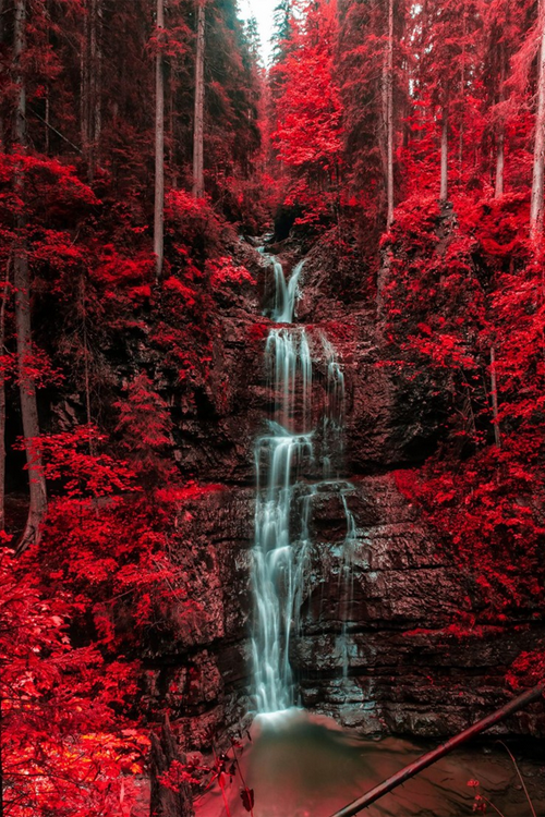 MJ