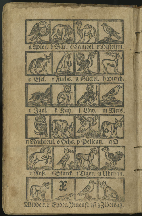 librarycompany:   Tag yourself. Today, we’re the Igel (hedgehog).  Hoch-deutsches lutherisches A B C