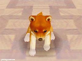 Some Nintendog Pups