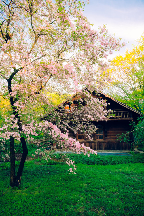 sublim-ature: Central Park, New YorkSource