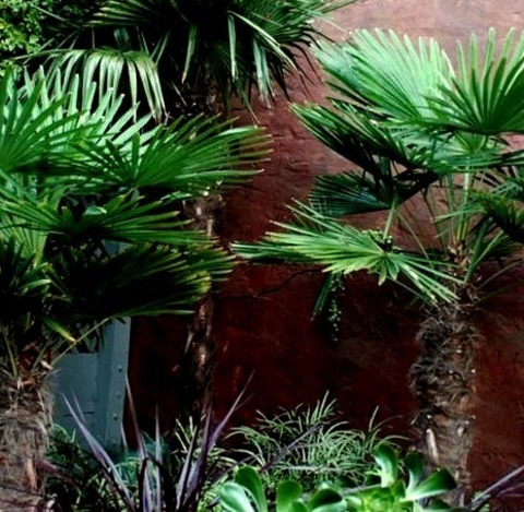 Decking In San FranciscoDesign Ideas For A Mid-sized Mediterranean Full Sun Side Yard Garden Path With