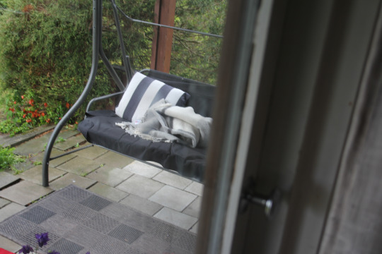 questionlife:  I opened the door and only Arthur came inside. It’s raining. I couldn’t