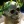 gliese777:  why. arent. these. chapters. longer.