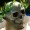 gliese777:  why. arent. these. chapters. longer.
