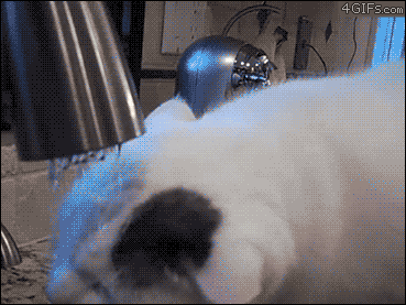 oooooooo:  It actually burns when I poo…