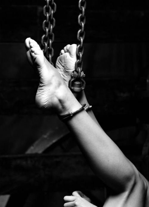 Within The Chains