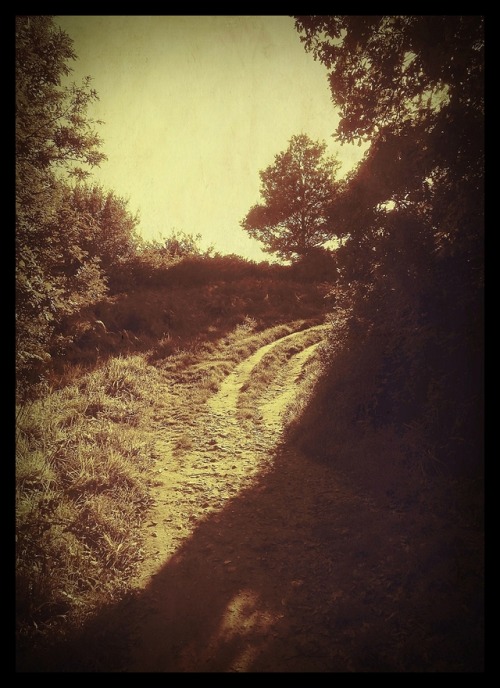 stonelantern, Ware Cliffs (summer light), 2017