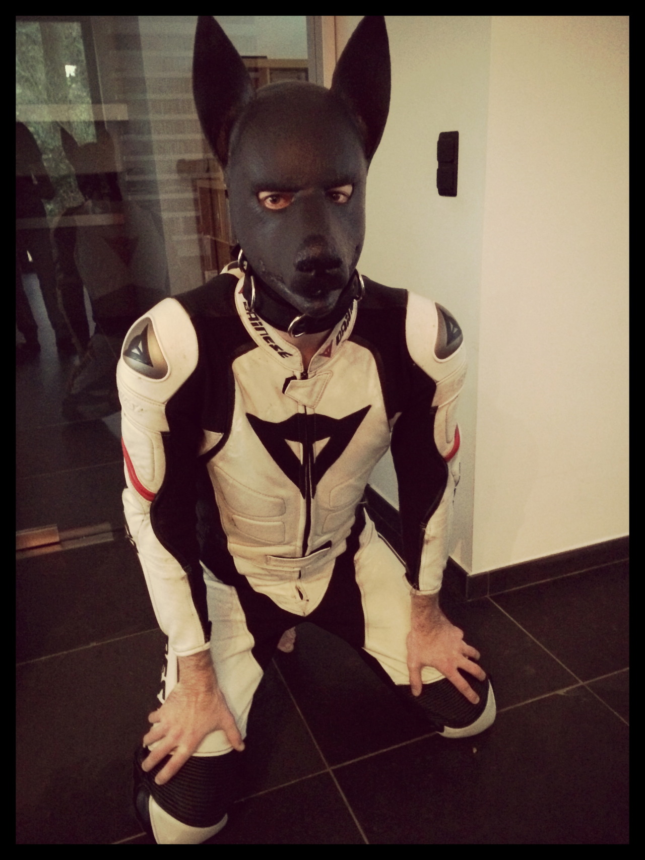littlebabygish:  maxxngear:  #pup in full #leather #alpinestars #rubber Waiting instructions! 