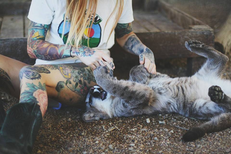 thatattoozone:    Torrie Blake   