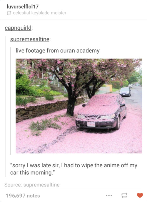 missperoxide:  iwasthinkingofanimeagain:Ouran adult photos