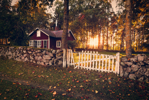 brutalgeneration:  They say it’s autumn by Robert Abrahamsson on Flickr.