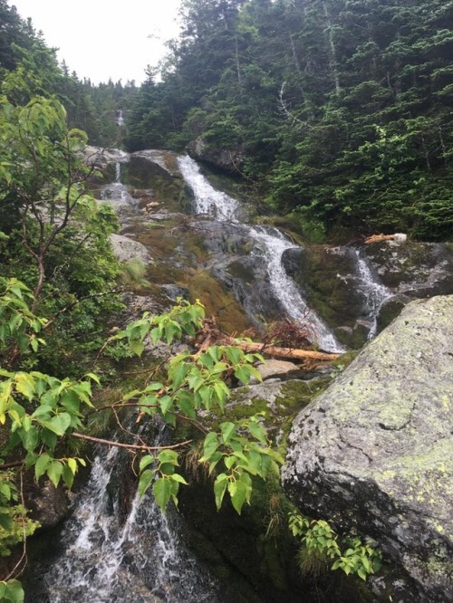 Falls in the White Mountains. New Hampshire.