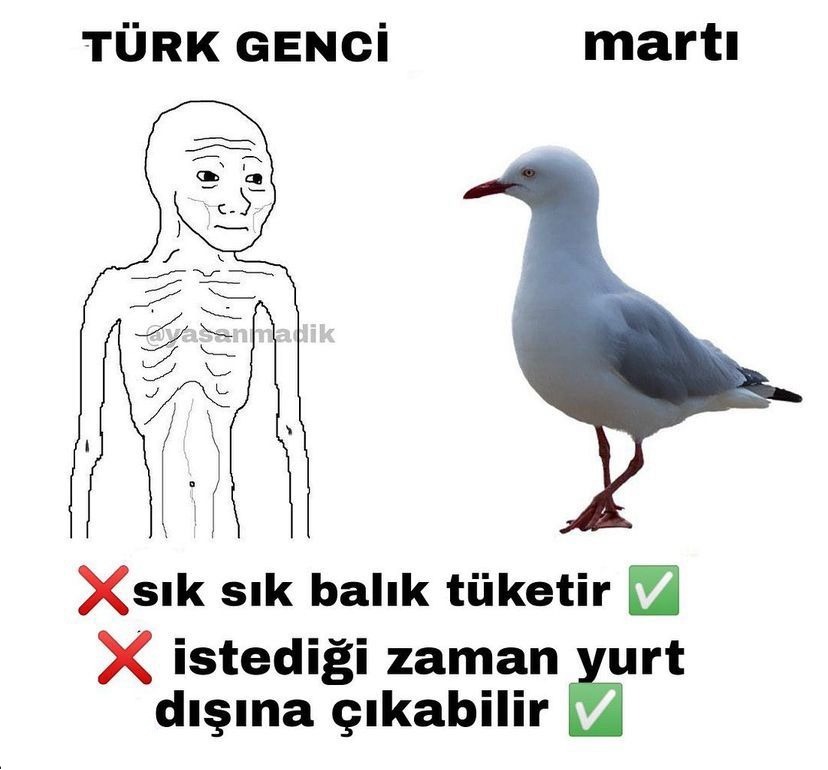 TÜRK GENCİ vasanmadik...