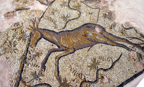 Crete, Archaeological Museum of Kissamos:Border details from a dionysiac mosaic floor, the rider hun